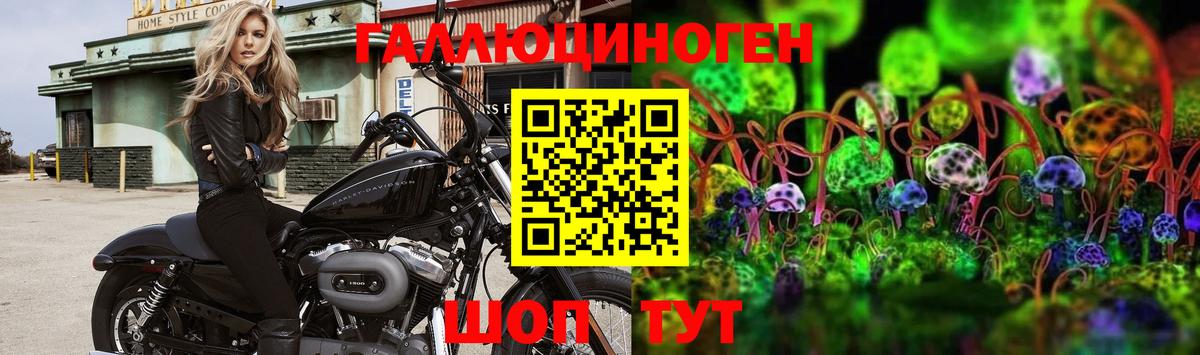 Изобильный  купить  сайты  Вход с VPN  Галлюциногенные грибы Psilocybe 